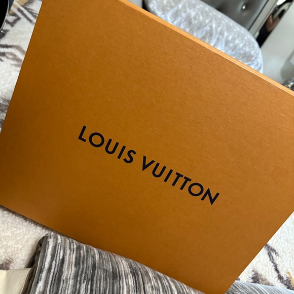 Louis Vuitton Maida Hobo - Picture 2 of 5